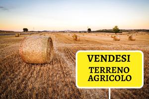 Terreno agricolo_ Orto Frutteto Recintato