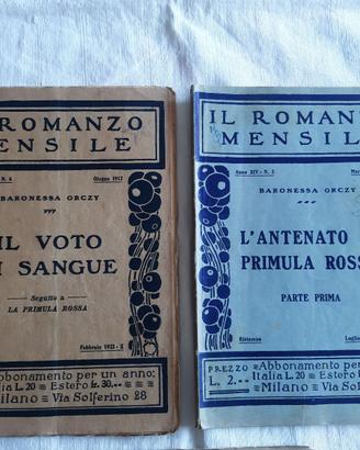 Il romanzo mensile