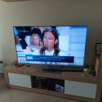 panasonic 55 pollici smart tv