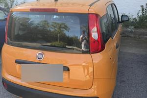 FIAT PANDA EASY