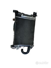 KIT RADIATORI OPEL Karl Rocks Serie 42333840 Bifue