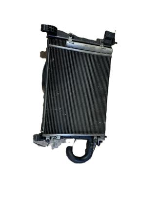KIT RADIATORI OPEL Karl Rocks Serie 42333840 Bifue
