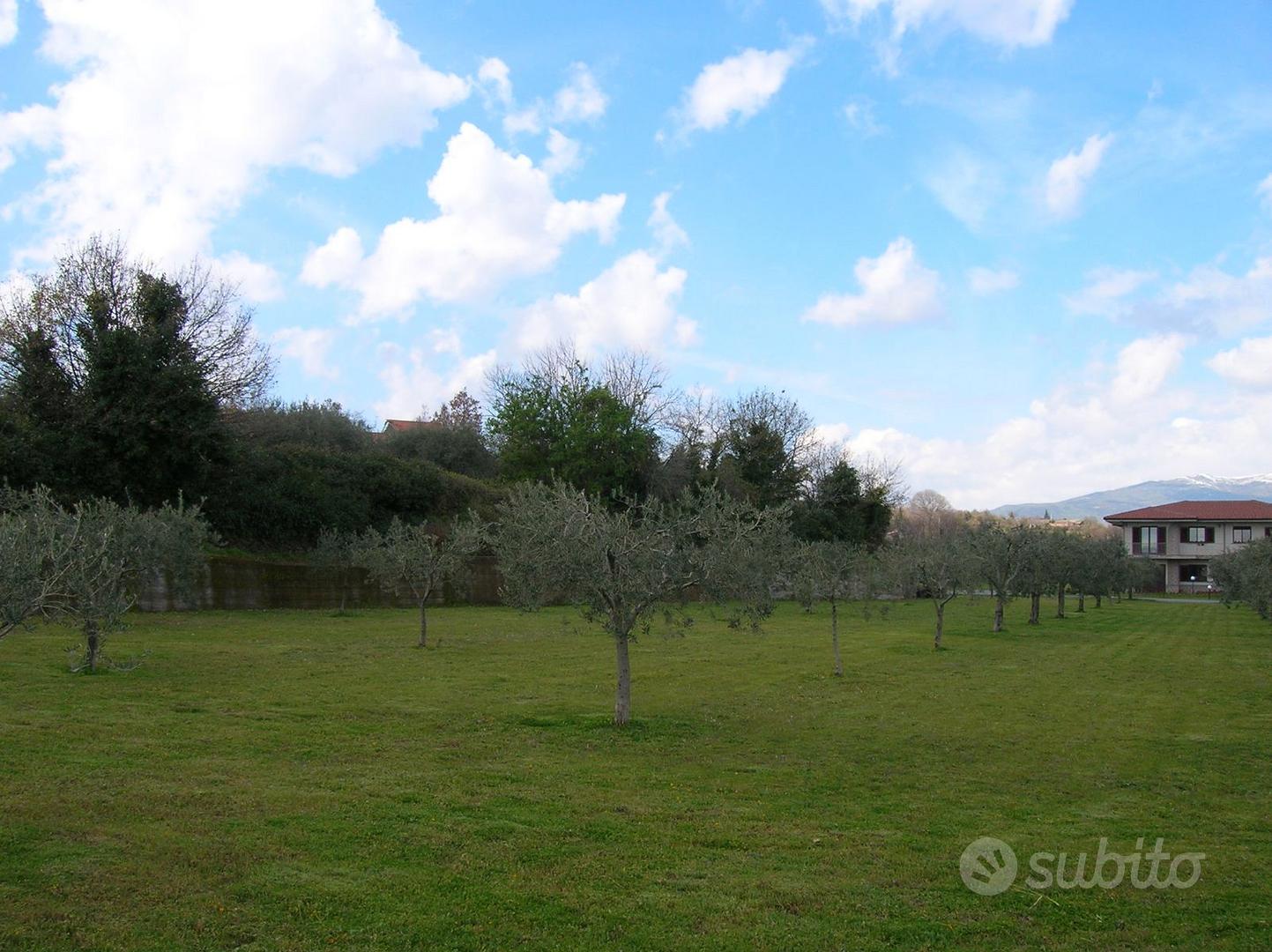 Terreno agricolo con villa, uliveto e vigneto - Altro
