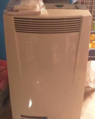 Pinguino Delonghi climatizzatore
