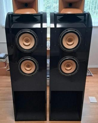 diffusori Fostex FE208