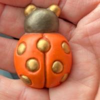 Thun Magnete Calamita Coccinella 