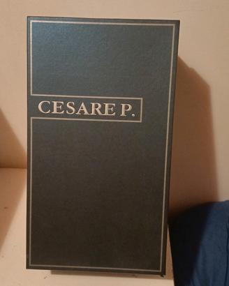 Cesare piaciotti