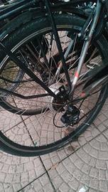 conversione bici pedalata assistita acceleratore 