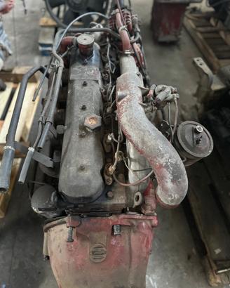 Motore iveco 79.14 / 109.14 8060.05
