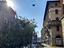 Immagine 14