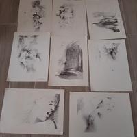 9 tavole pino schiti volti