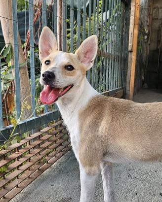 Zoe 9 mesi
