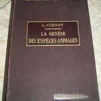 Le genese des especes animales, 1911