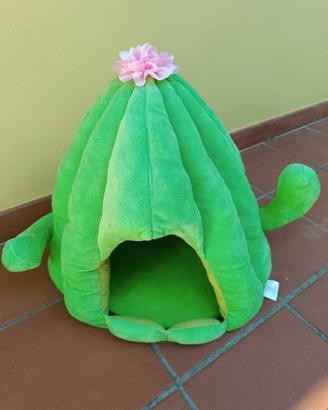 Cuccia cactus