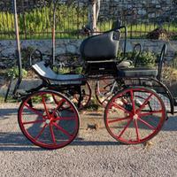 Carrozza bianchi da maratona