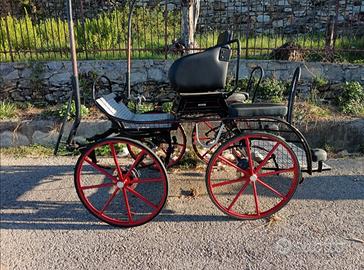Carrozza bianchi da maratona