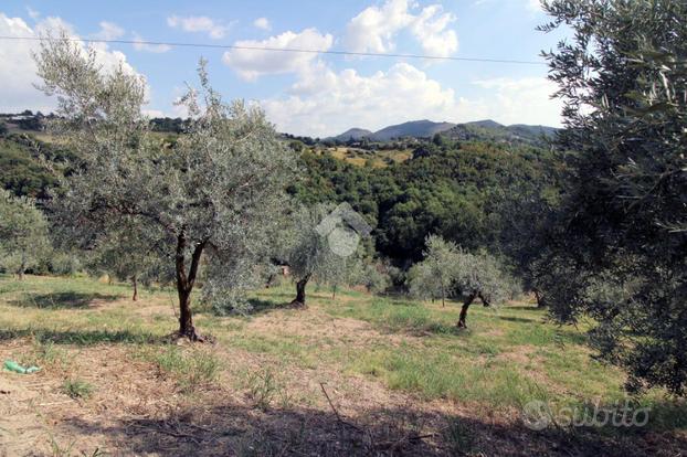 TER. AGRICOLO A SALISANO