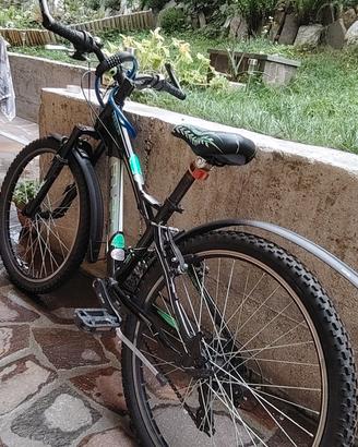 bici da ragazzo 
