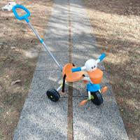 Triciclo Pellicano Chicco