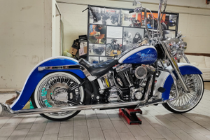 Harley Davidson softail cicana