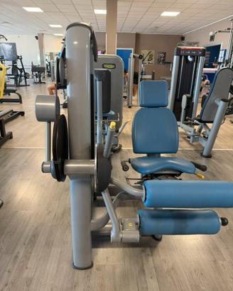 Leg curl seduto Technogym