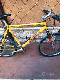 Mountain bike Carnelli 