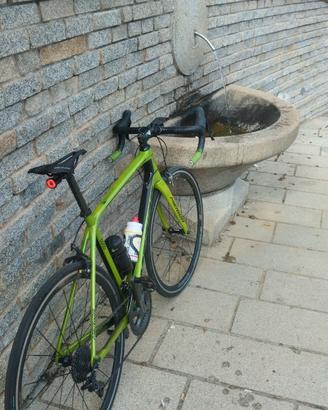 Bici da corsa
