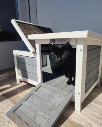 Casetta per coniglio o gatto