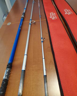Canna da Surfcasting la palma