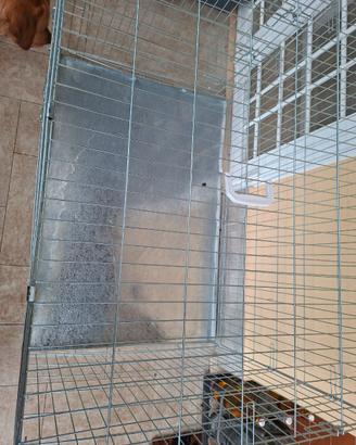 Kennel
