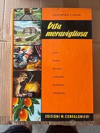 Enciclopedia a colori vita meravigliosa