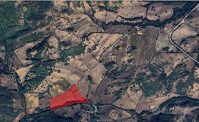 Terreno per vigneto