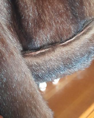 2 pellicce di visone