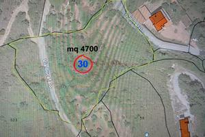 Terreno agricolo Itri Latina