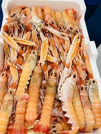 Pescheria Roma zona centrale