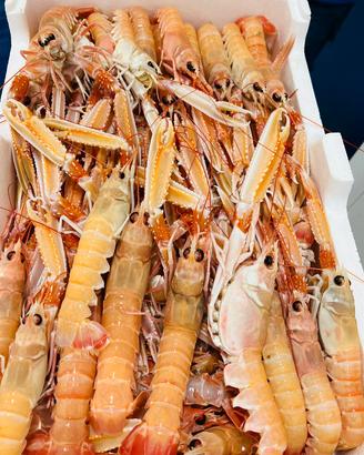 Pescheria Roma zona centrale