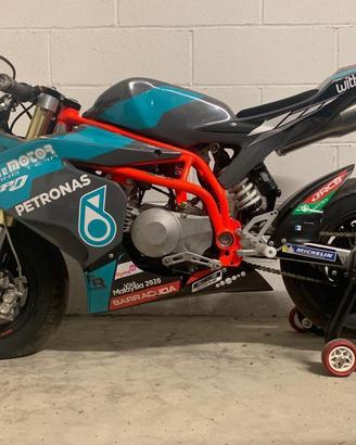 Ohvale 190 daytona