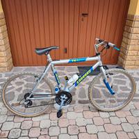 Mountain Bike Carraro in alluminio Track 422