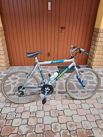 Mountain Bike Carraro in alluminio Track 422