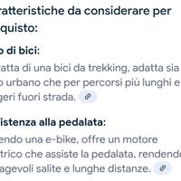 Bicicletta assistita