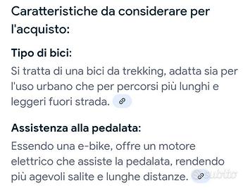 Bicicletta assistita