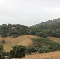 RGE 41/2006 Trib ENNA(EX NICOSIA) - LOTTO 6