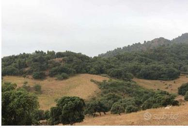 RGE 41/2006 Trib ENNA(EX NICOSIA) - LOTTO 6