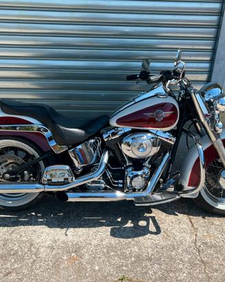 Harley davidson
