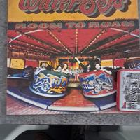 The Waterboys "ROOM TO ROAM"