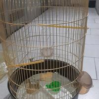 gabbia per pappagallo