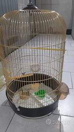 gabbia per pappagallo