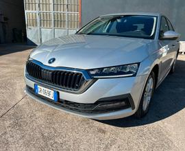 Skoda Octavia 2.0 TDI EVO SCR DSG IVA ESPOSTA COMP