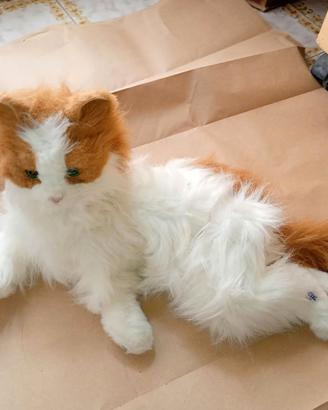 gatto robotico