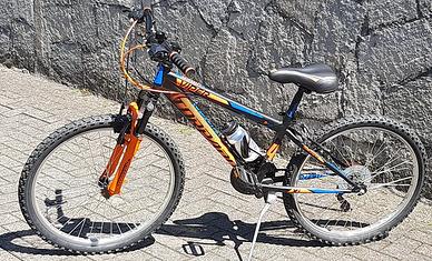 Bicicletta Mountain bike